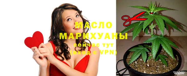 индика Михайловка