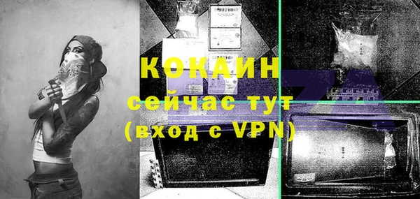 индика Михайловка