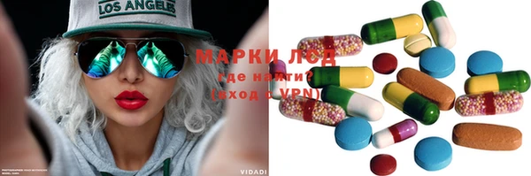 индика Михайловка