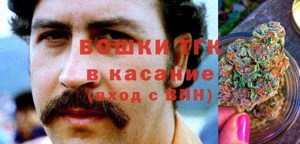 молекула духа Медногорск