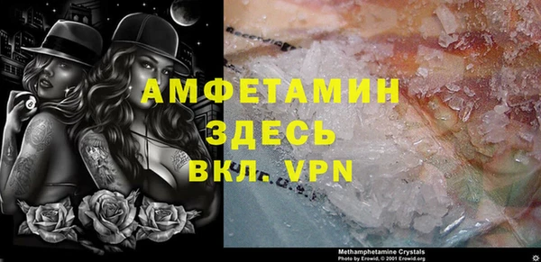 ГАЛЛЮЦИНОГЕННЫЕ ГРИБЫ Михайлов
