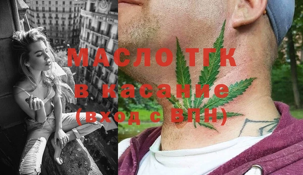 индика Михайловка
